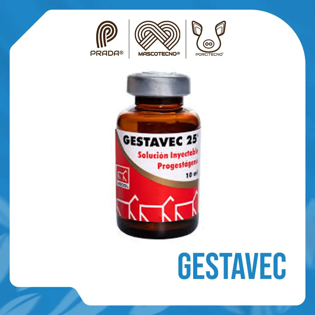 GESTAVEC 25 X 10 ML | PRADA SABINC